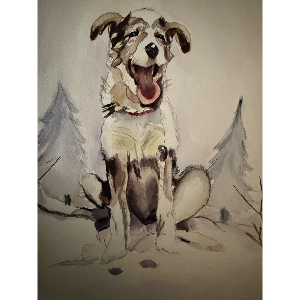 Original Watercolor Dog Painting Art Pet Portrait Artwork 15 X 11 Border Collie
